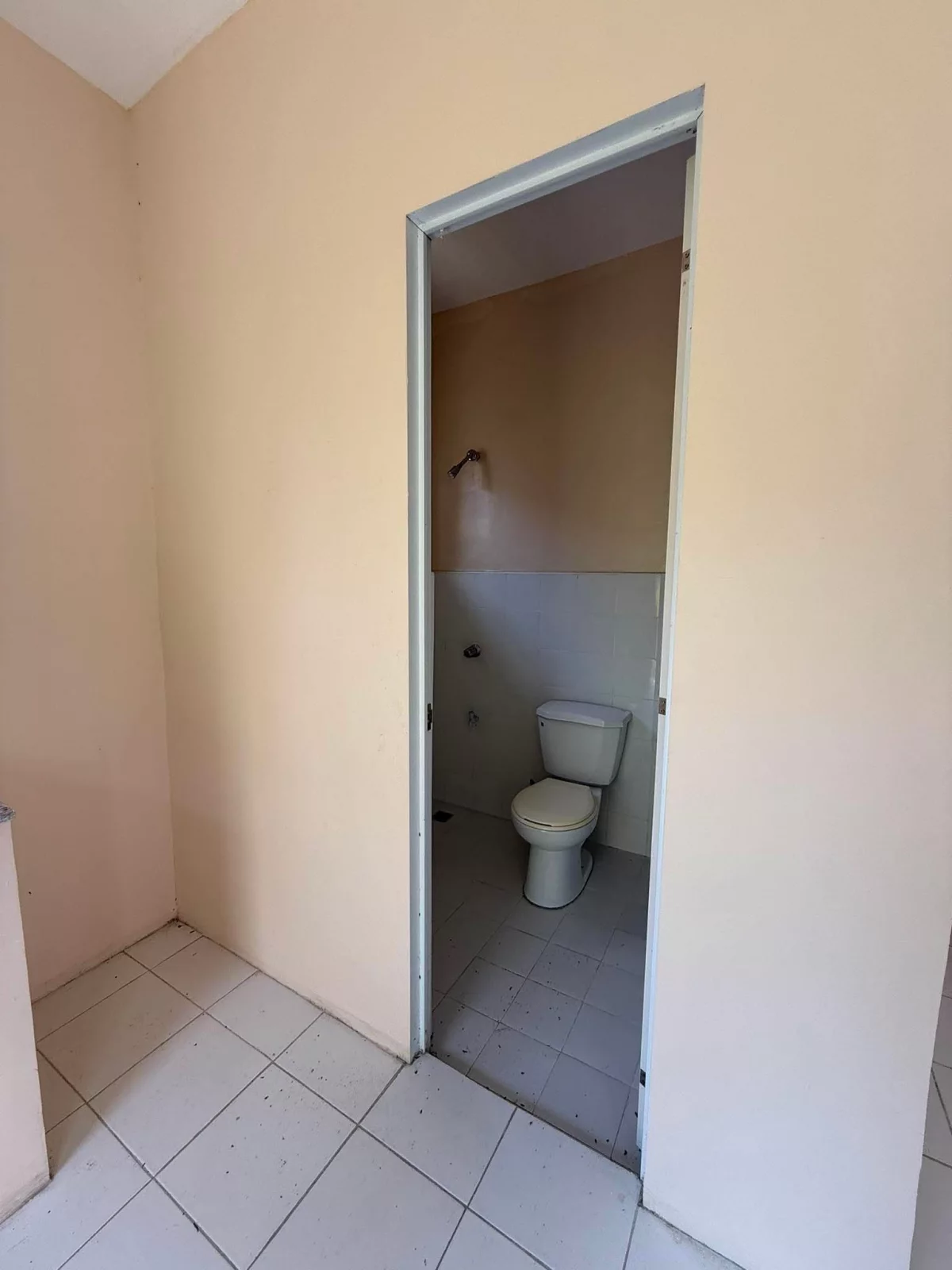 For Sale: House and Lot Near Davao Airport Observation Deck, Davao City — Fully Fenced — House and Lot in Davao City, Davao del Sur, 8000 — Photo 5