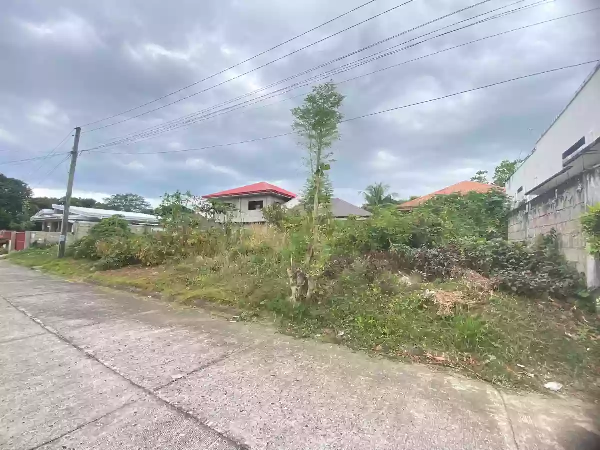 For Sale: Residential Lot in Candau-ay, Dumaguete City — 160 sqm — Residential Lot in Dumaguete City, Negros Oriental, 6200 — Photo 2