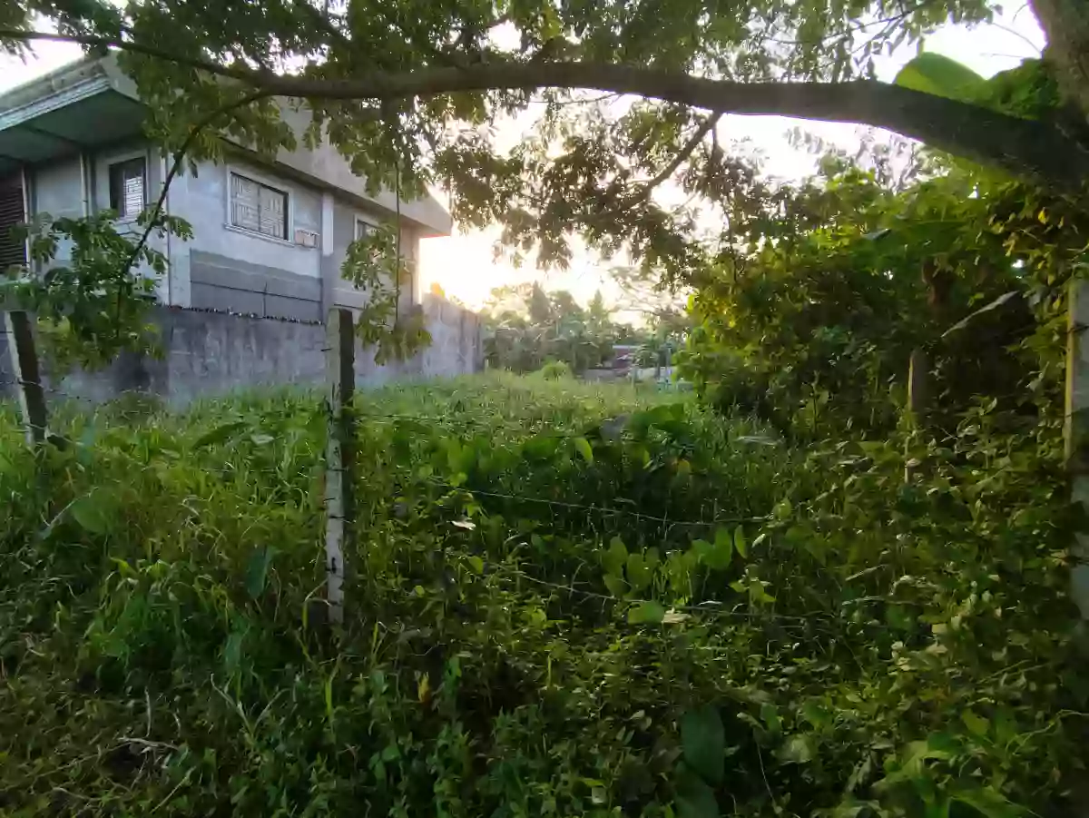 Rush Sale: RESIDENTIAL LOT IN PILI, CAMARINES SUR! 🏡 — Residential Lot in San Jose, Pili, Camarines Sur — Photo 5