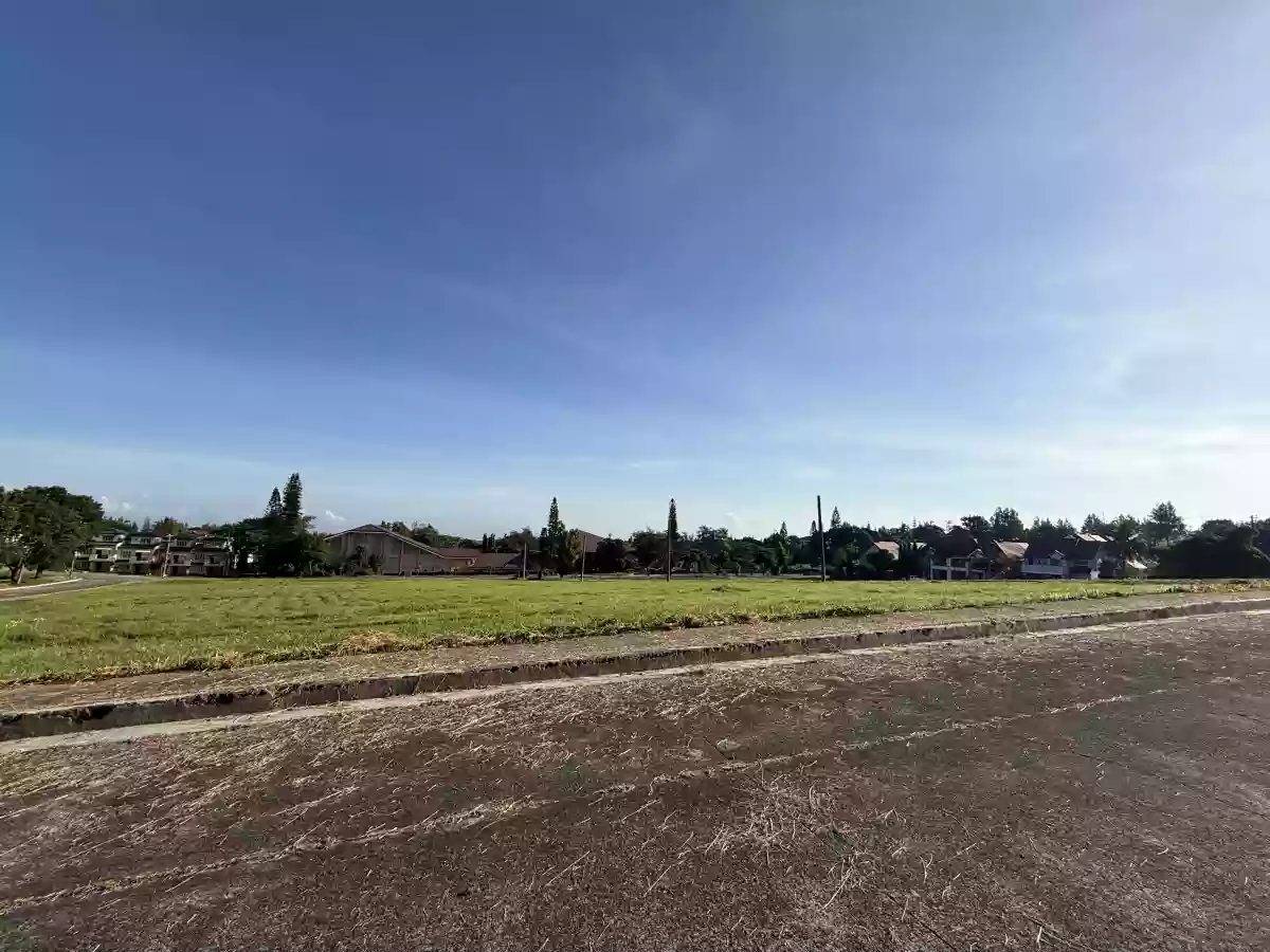 For Sale: Buck Estate Commercial Lot in Alfonso — 5592 sqm Investment — Space in Buck Estate, Alfonso, Cavite — Photo 3