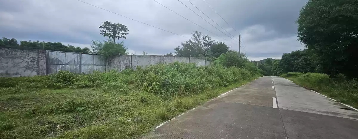 Open photo 11 of 12 — For Sale Farm Lot -Purok 8 Tinagacan, Gen. Santos City — Gated and Cemented Road