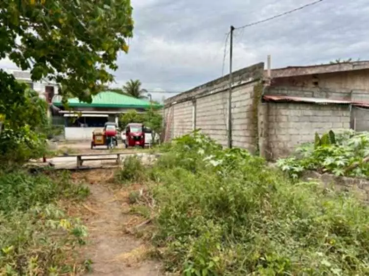 100 sqm Residential Lot for Sale in Brgy. San Isidro, General Santos City, SOCSARGEN, South Cotabato - photo 5