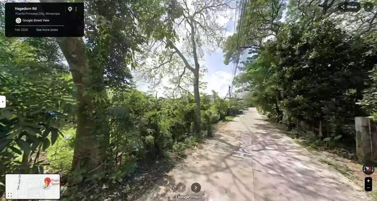 PRIME 2,000 SQM LOT FOR SALE in San Pedro, Puerto Princesa City, Palawan