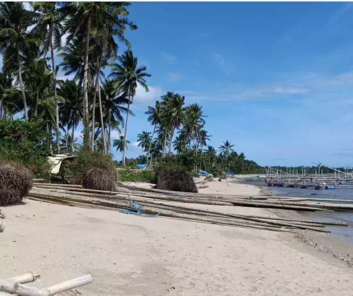 For Sale: Beach Lot in Lucbuan, Puerto Princesa City — 195329 sqm