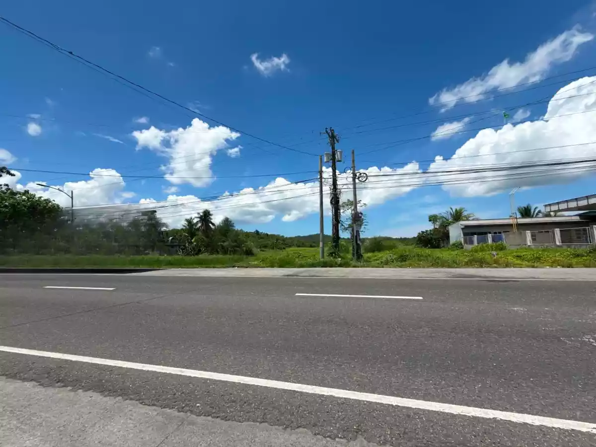 For Sale: Commercial Lot in Poblacion, Pamplona — 90000 sqm — Commercial Lot in Pamplona, Camarines Sur, 4416 — Photo 4