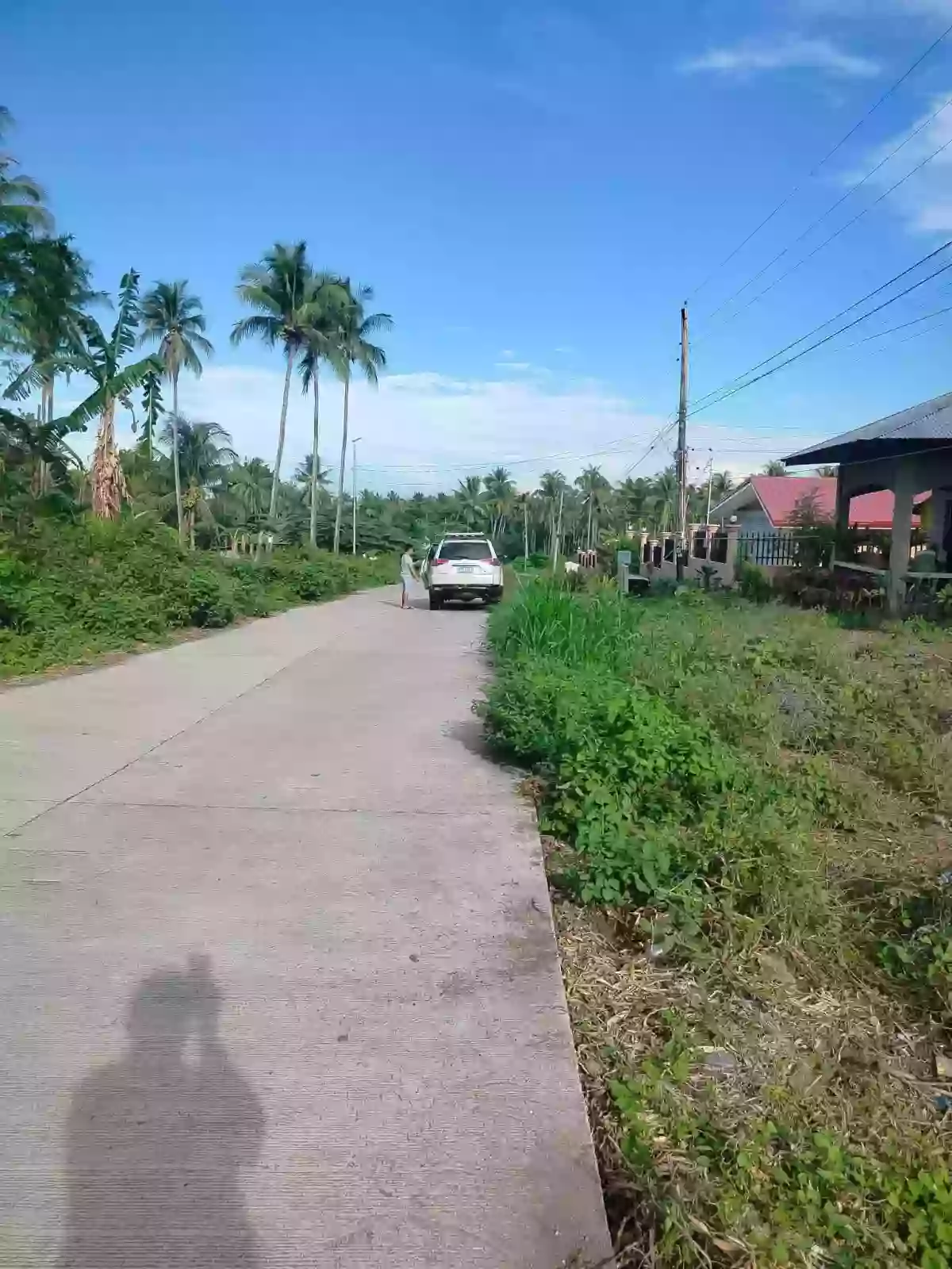 Dauin lot for sale — Agricultural Lot in Dauin, Negros Oriental, 6217 — Photo 3