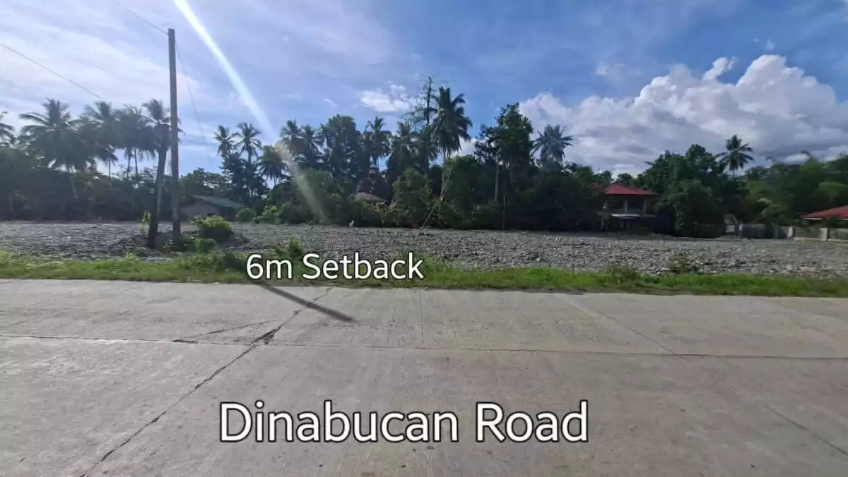 For Sale: 4246 sqm Commercial Lot in Mabini, Cabadbaran City — Commercial Lot in Mabini, Cabadbaran City, Agusan del Norte — Photo 5