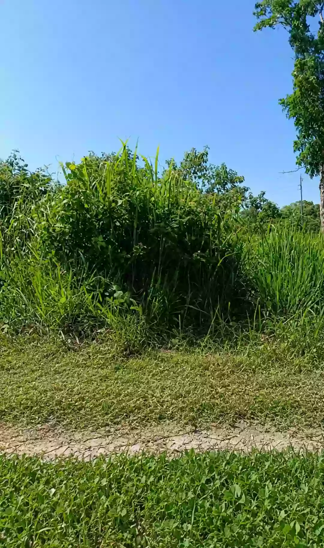 RESIDENTIAL LOT FOR SALE — Residential Lot in Pacol, Naga City, Camarines Sur — Photo 4