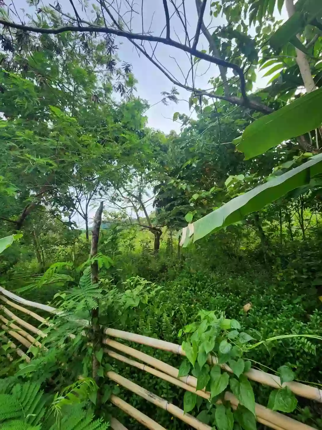 For Sale: Residential Lot in Brgy. Lipata, Surigao City — 275 sqm — Residential Lot in Surigao City, Surigao del Norte, 8400 — Photo 4