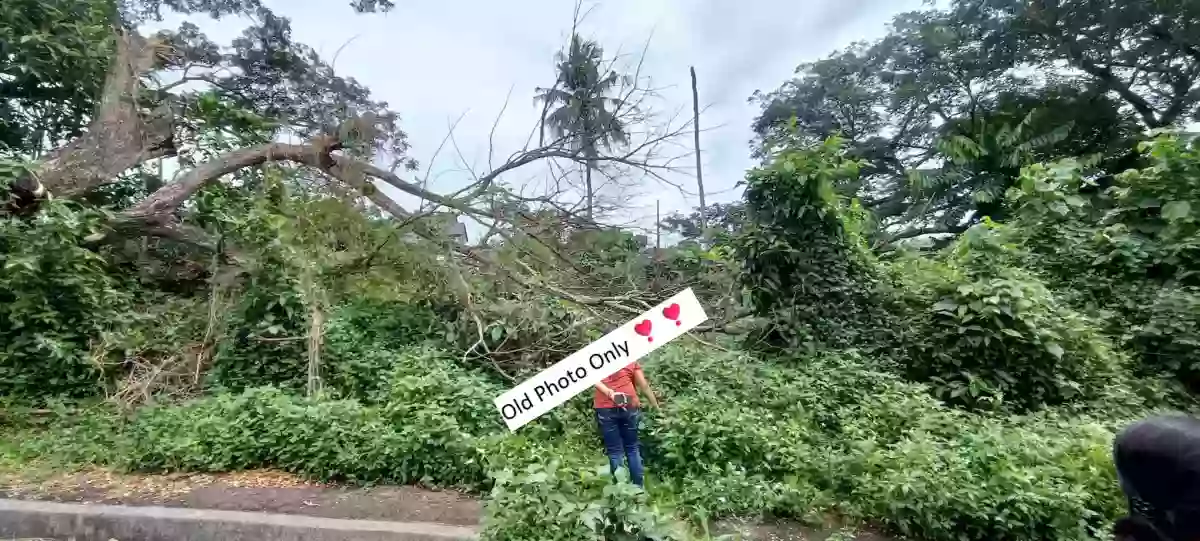 For Sale: Residential Lot in Pulangbato, Cebu City — 171 sqm — Residential Lot in Cebu City, Cebu, 6000 — Photo 3