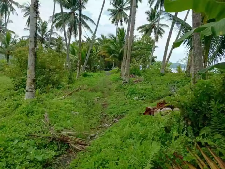 Beach Lot for Sale Near Salakit National High School, Kiamba — Ocean View — Beach Lot in Kiamba, Sarangani, 9514 — Photo 5
