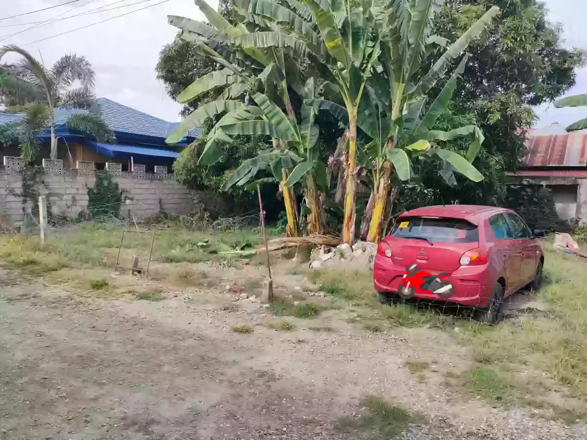 For Sale: Residential Lot in Camanjac, Dumaguete City — 300 sqm — Residential Lot in Dumaguete City, Negros Oriental, 6200 — Photo 5