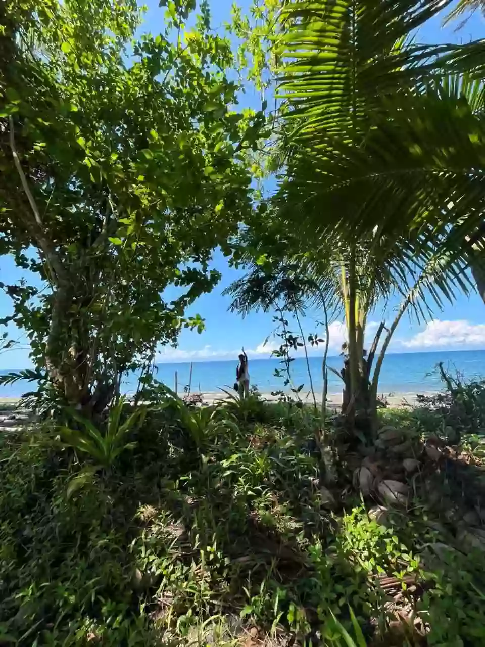Beach Lot for Sale Near Salakit National High School, Kiamba — Ocean View — Beach Lot in Kiamba, Sarangani, 9514 — Photo 2