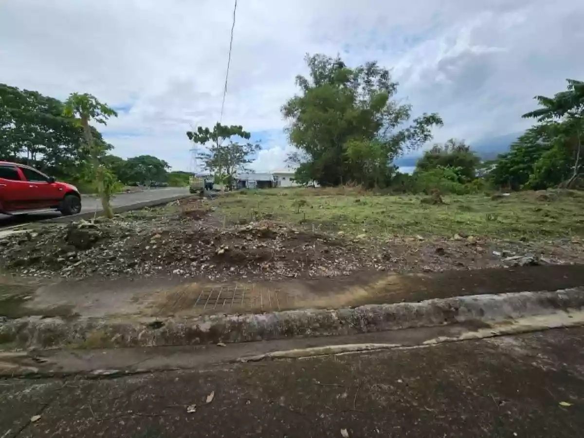 🏡 Residential Lot for Sale – Monte Cielo de Naga Phase 1A, Milaor, Cam. Sur