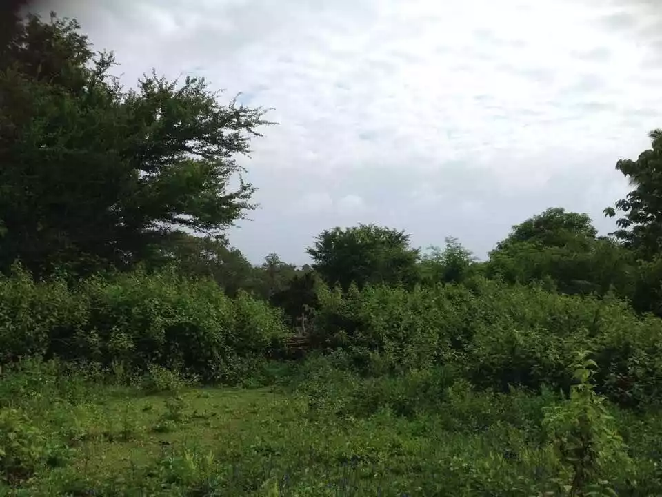 For Sale: 23491 sqm Agricultural Lot in Alobo, Santa Cruz — Agricultural Lot in Santa Cruz, Marinduque, 4902 — Photo 4