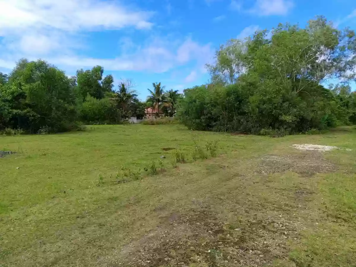 For Sale: Residential Lot in Tawala, Panglao — 200 sqm