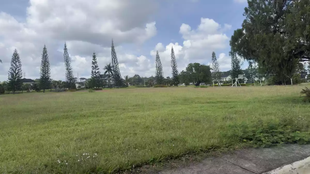 For Sale Menzi Orchard : Residential Lot in Damilag, Manolo Fortich — 524 sqm — Residential Lot in Manolo Fortich, Bukidnon, 8703 — Photo 4