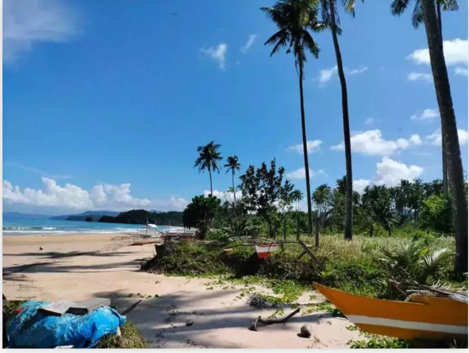 Rush Sale: Beach Lot Near Long Beach, San Vicente — Beachfront — Beach Lot in San Vicente, Palawan, 5309 — Photo 3