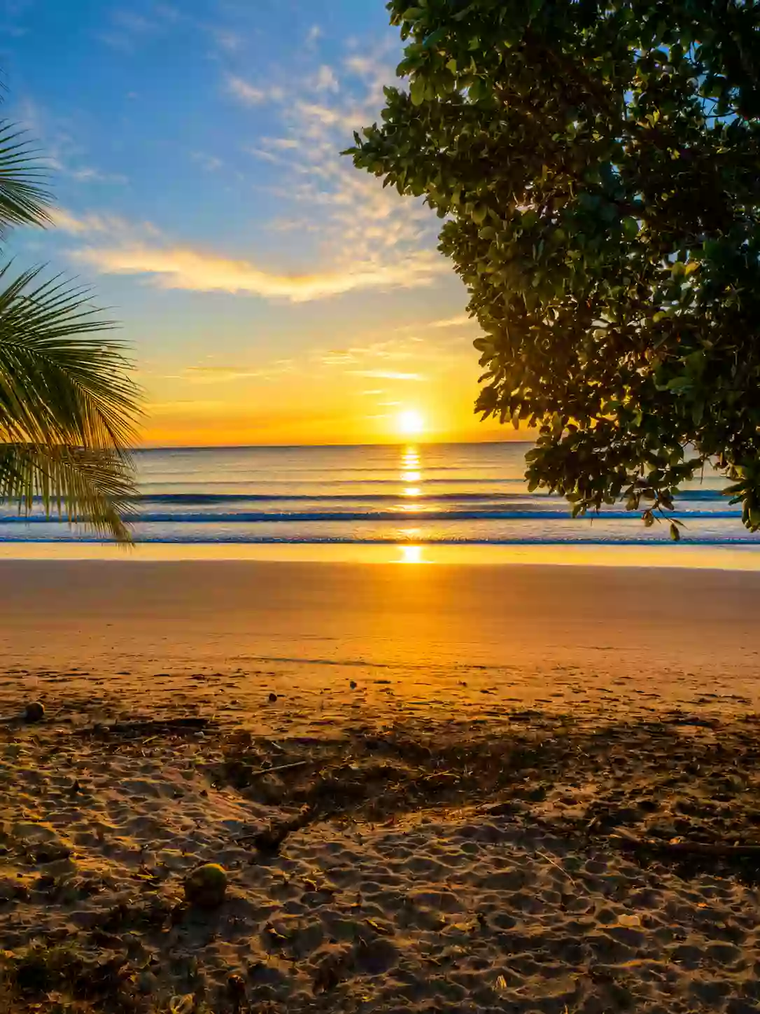 For Sale Beach Lot in Aporawan, Aborlan — 659 sqm — Beach Lot in Aborlan, Palawan, 5302 — Photo 5