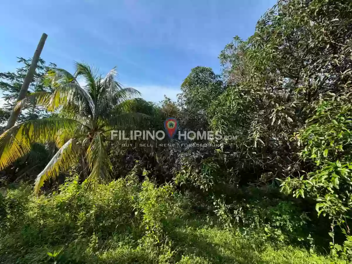 For Sale  Farm Lot — Agricultural Lot in Midsayap, Cotabato, 9410 — Photo 5