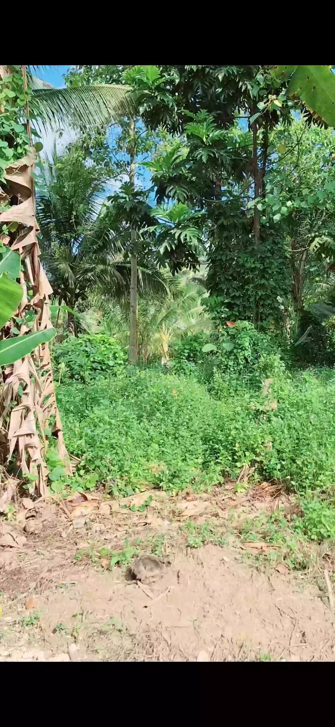 For Sale: Residential Lot in Poblacion, Kidapawan City — Investment Lot — Residential Lot in Poblacion, Kidapawan City, Cotabato — Photo 4