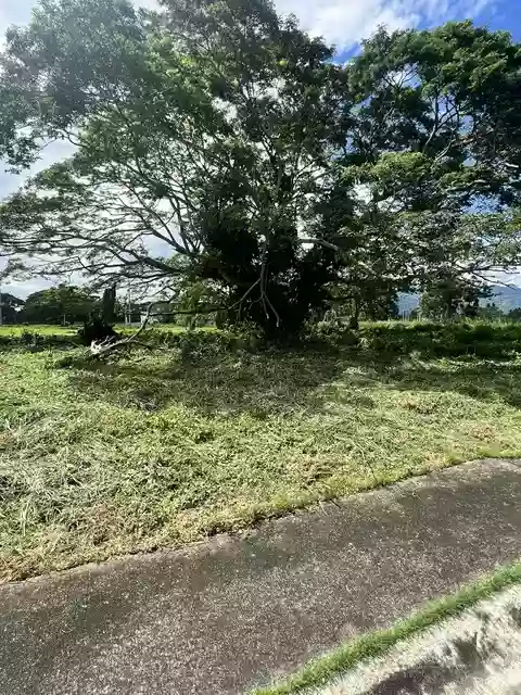 For Sale: Residential Lot in Bulakin, Tiaong, Quezon — 520 sqm — Residential Lot in Tiaong, Quezon, 4325 — Photo 5