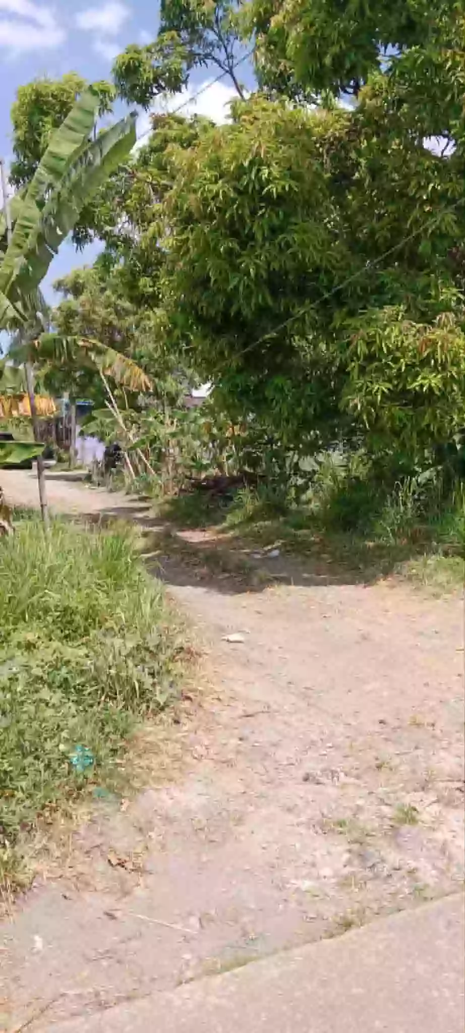 For Sale: Residential Lot in Blumentritt, Murcia (Kanlaon View Subdivision)— 200 sqm — Residential Lot in Blumentritt, Murcia, Negros Occidental — Photo 3