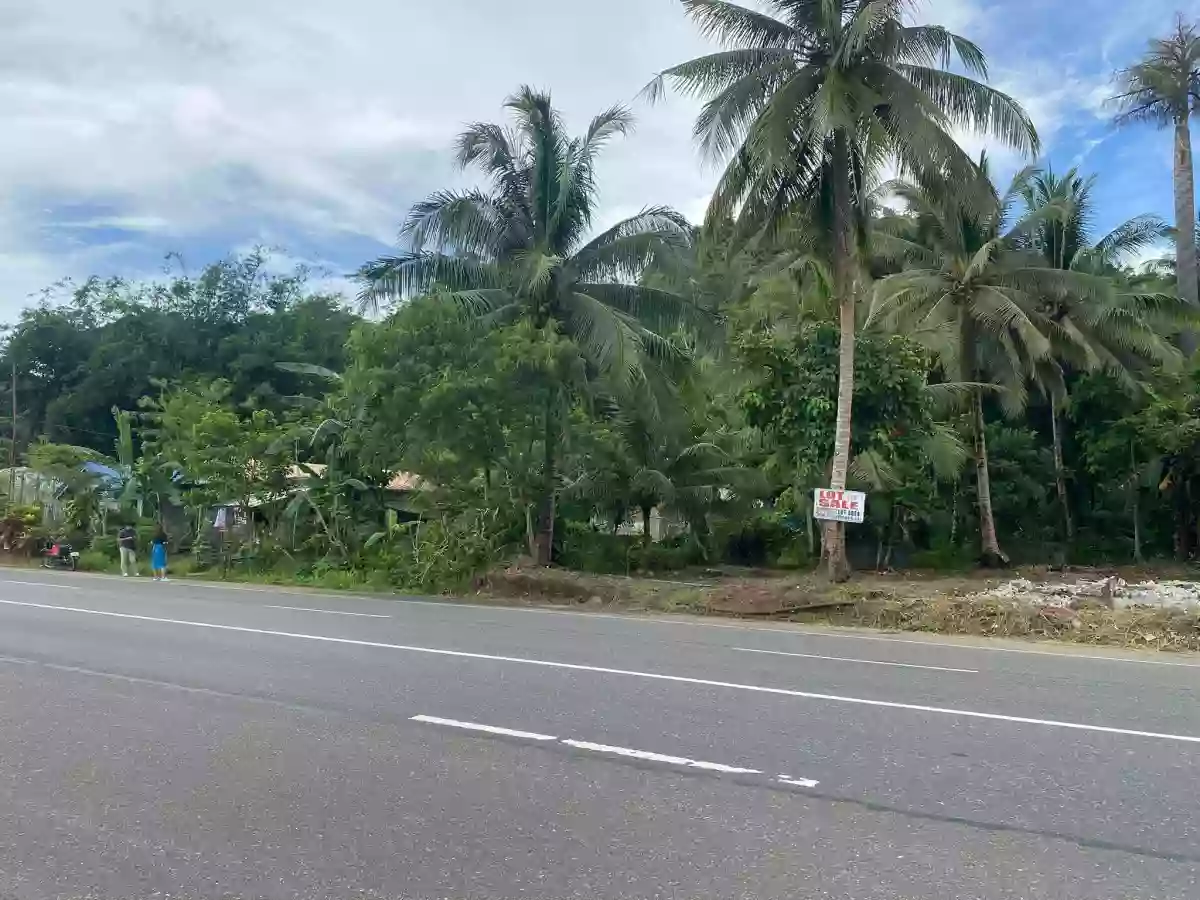 For Sale: Residential Lot Near Pongtud Elementary School, Alegria — 380 sqm — Residential Lot in Alegria, Surigao del Norte, 8425 — Photo 5