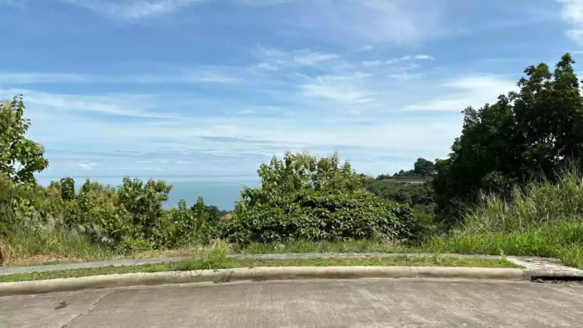 For Sale: Residential Lot in Balubal, Cagayan de Oro City — 250 sqm — Residential Lot in Balubal, Cagayan de Oro City, Misamis Oriental — Photo 3