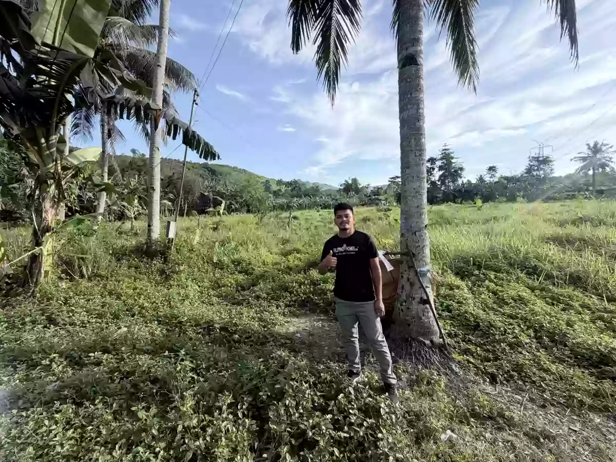 FOR SALE: Agricultural Lot in Campangga, Barili, Cebu 300 sqm — Agricultural Lot in Barili, Cebu, 6036 — Photo 2