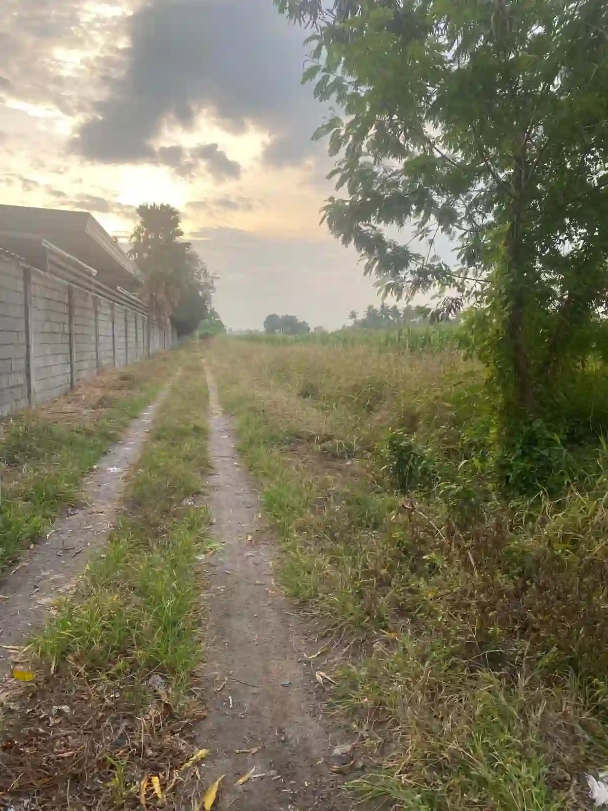 For Sale: Residential Lot Near ACE hospital, General Santos City — 59000 sqm — Residential Lot in General Santos City, South Cotabato, 9500 — Photo 2