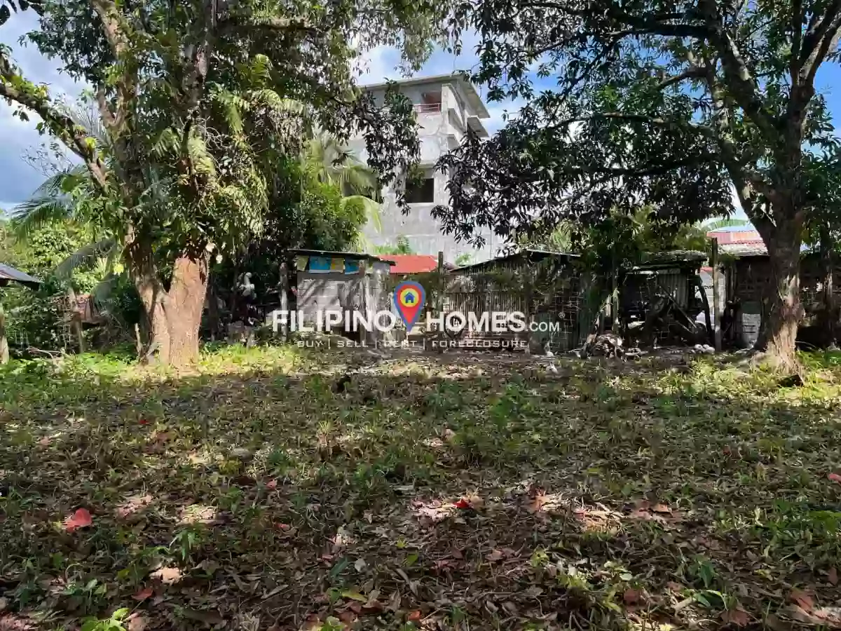For Sale: 1400 sqm Agricultural Lot in Kiwanan, Midsayap — Agricultural Lot in Midsayap, Cotabato, 9410 — Photo 4