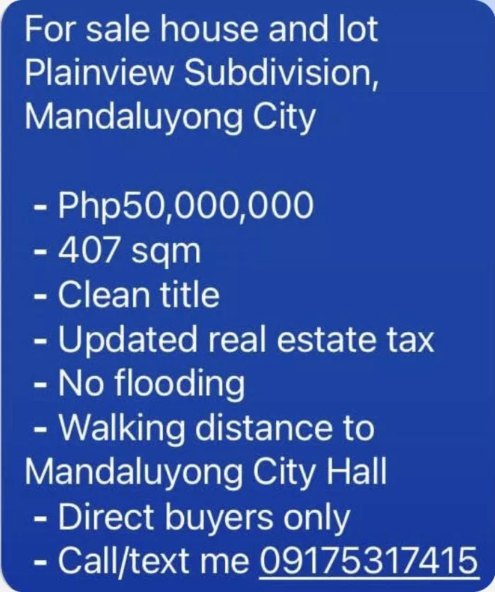 For Sale: Space in Plainview, Mandaluyong City — 407 sqm — Space in Mandaluyong City, Metro Manila, 1552 — Photo 3
