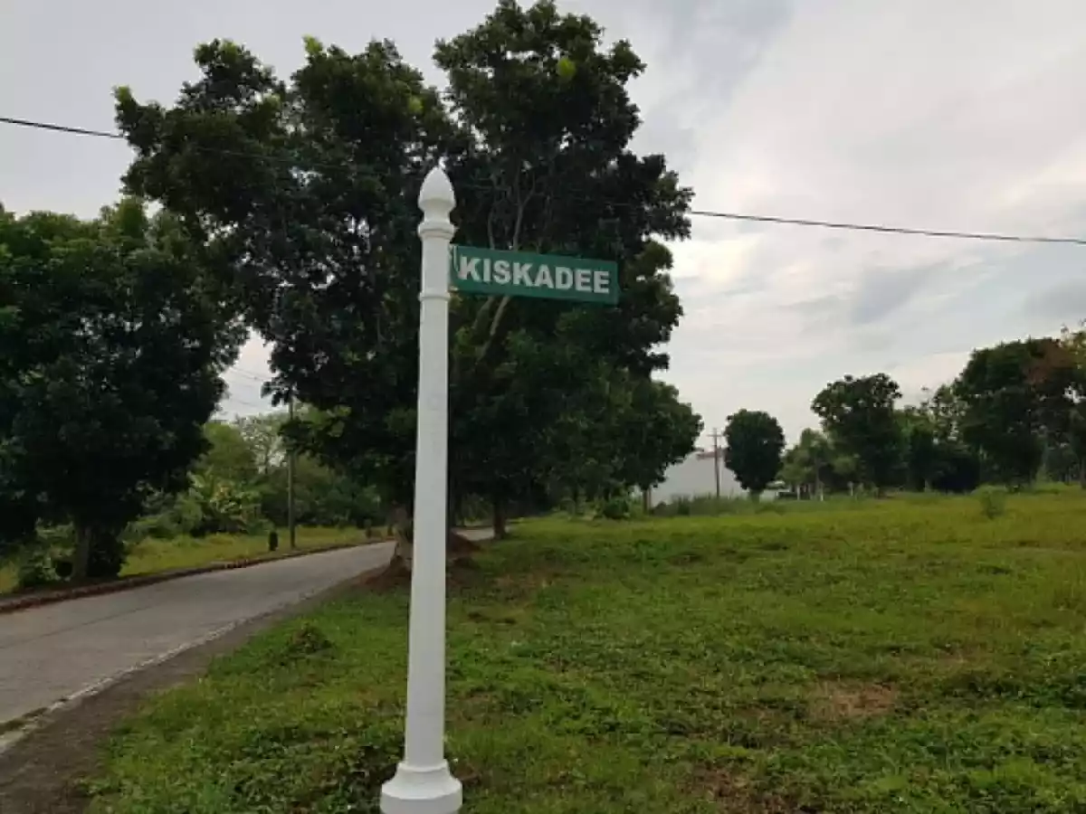 🏡 RUSH SALE | BELOW MARKET PRICE – Green Meadows, Iloilo — Residential Lot in Ungka, Iloilo City, Iloilo — Photo 2
