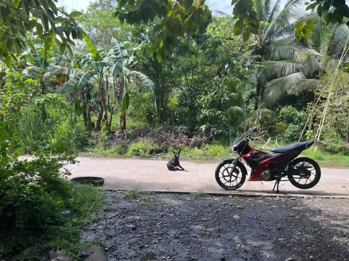 Farm lot for sale