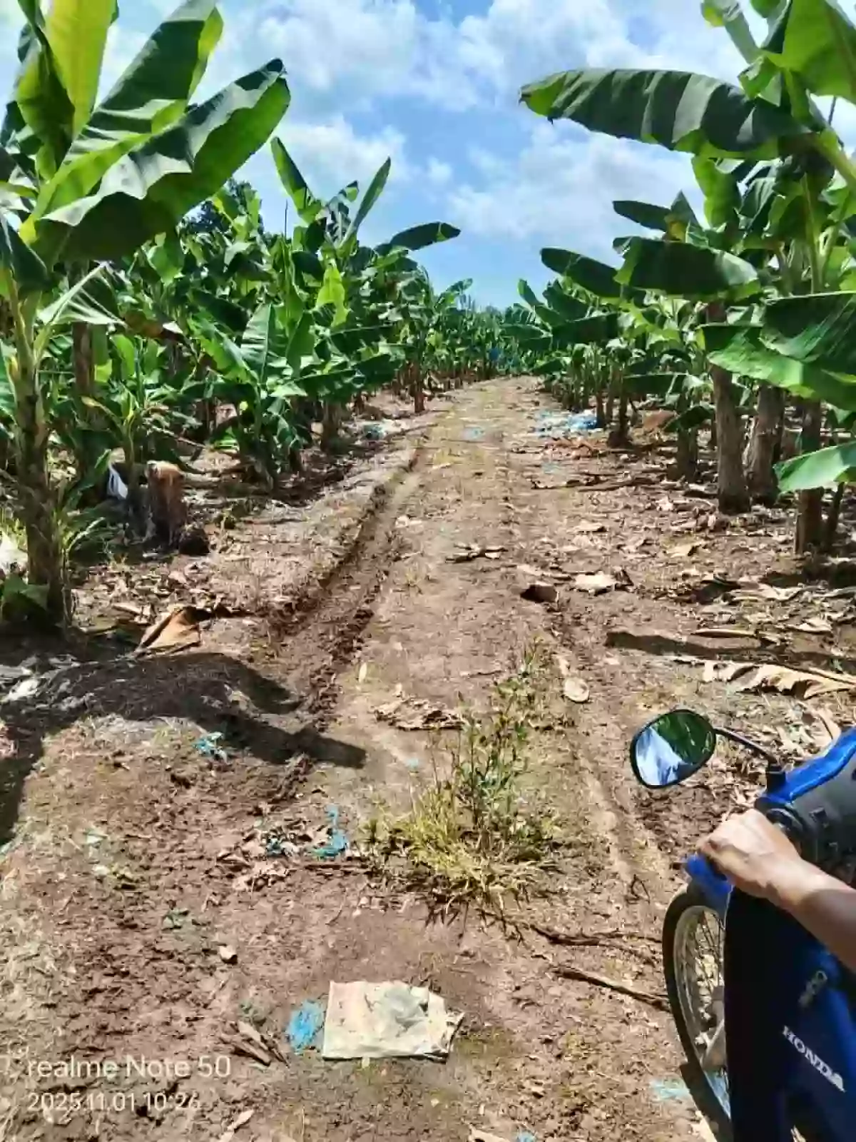 For Sale Agricultural Lot in Tagakpan, Davao City — investment land — Agricultural Lot in Davao City, Davao del Sur, 8000 — Photo 4