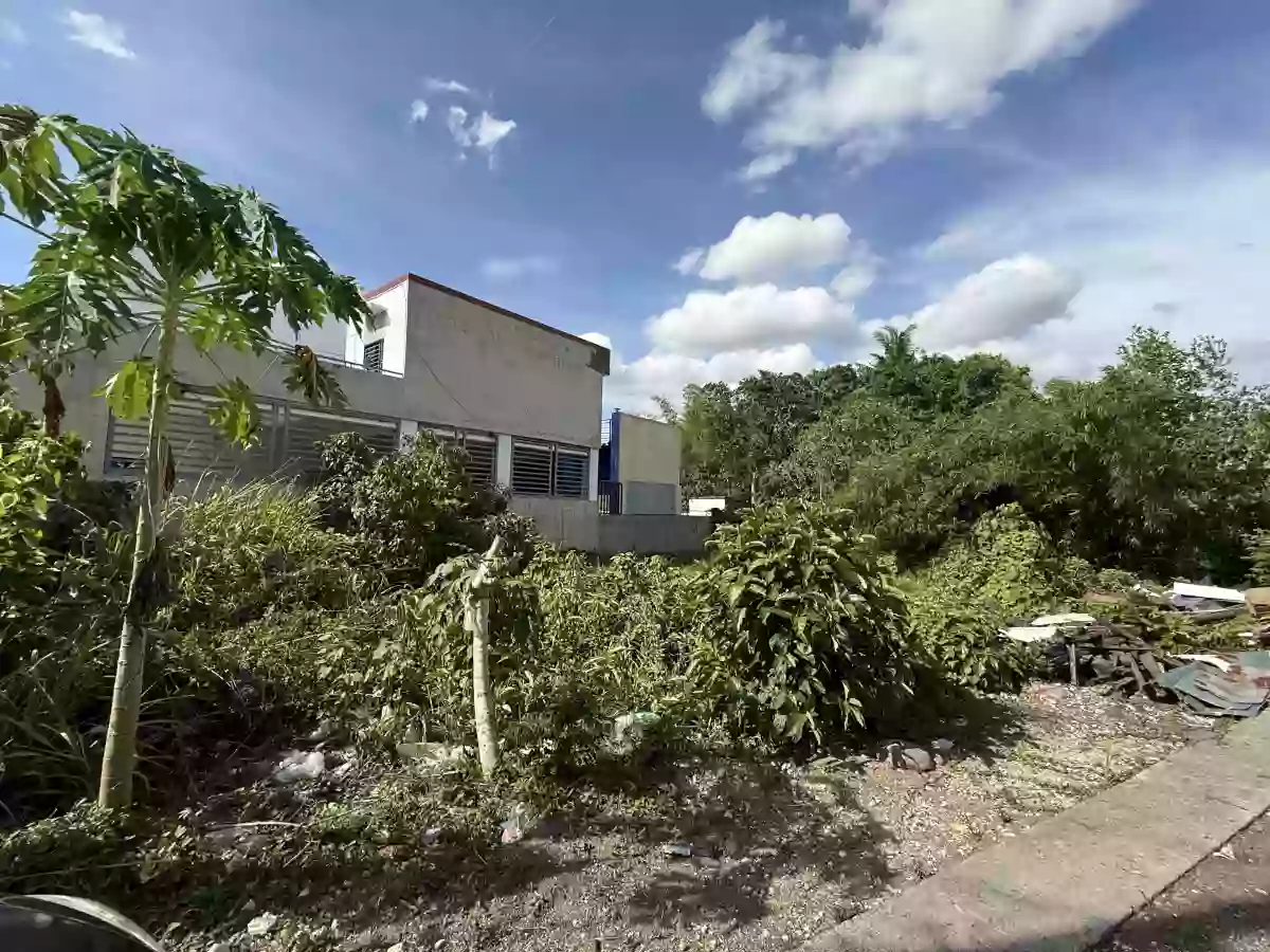 For Sale: Agricultural Lot in San Felipe, Naga City — 600 sqm — Agricultural Lot in Naga City, Camarines Sur, 4400 — Photo 3