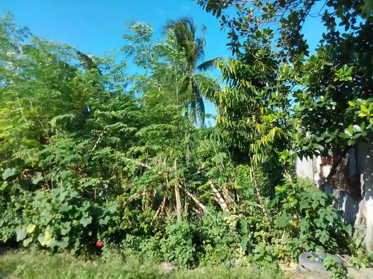 For Sale: Residential Lot in San Isidro, General Santos City — 300 sqm corner lot — Residential Lot in General Santos City, South Cotabato, 9500 — Photo 2