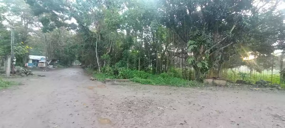 5 HECTARES OF OPPORTUNITY IN MAMBATANGAN — Residential Lot in Manolo Fortich, Bukidnon, 8703 — Photo 3