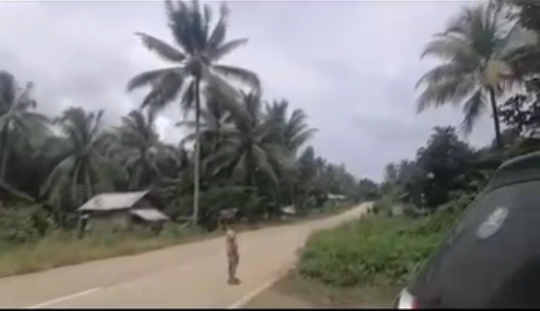 For Sale: Agricultural Lot Near Zamboanga Sibugay — 518m Road Frontage — Agricultural Lot in Domandan, Ipil, Zamboanga Sibugay — Photo 4