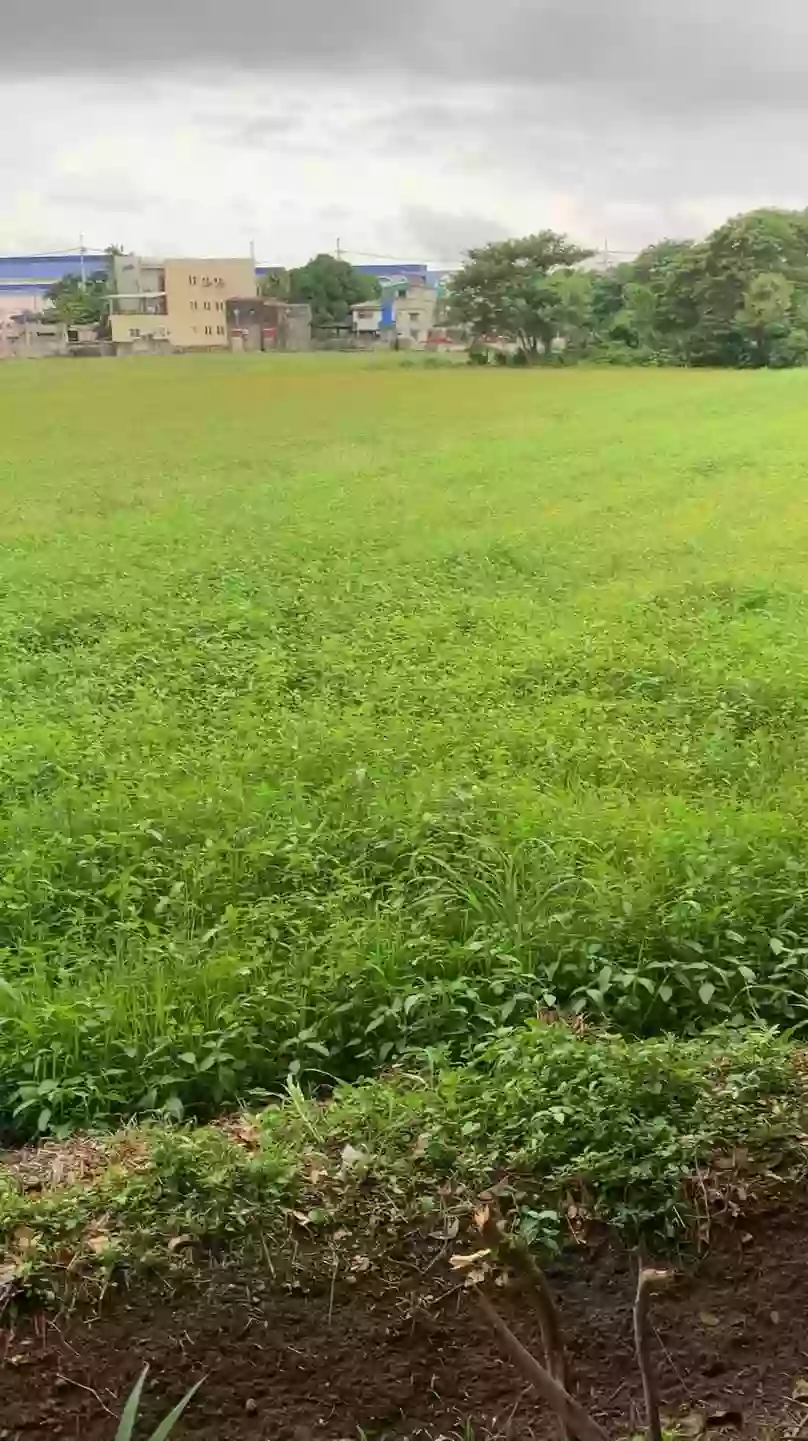 For Sale 11,851 sqm. Agricultural Lot — Agricultural Lot in Plaridel, Bulacan, 3004 — Photo 4