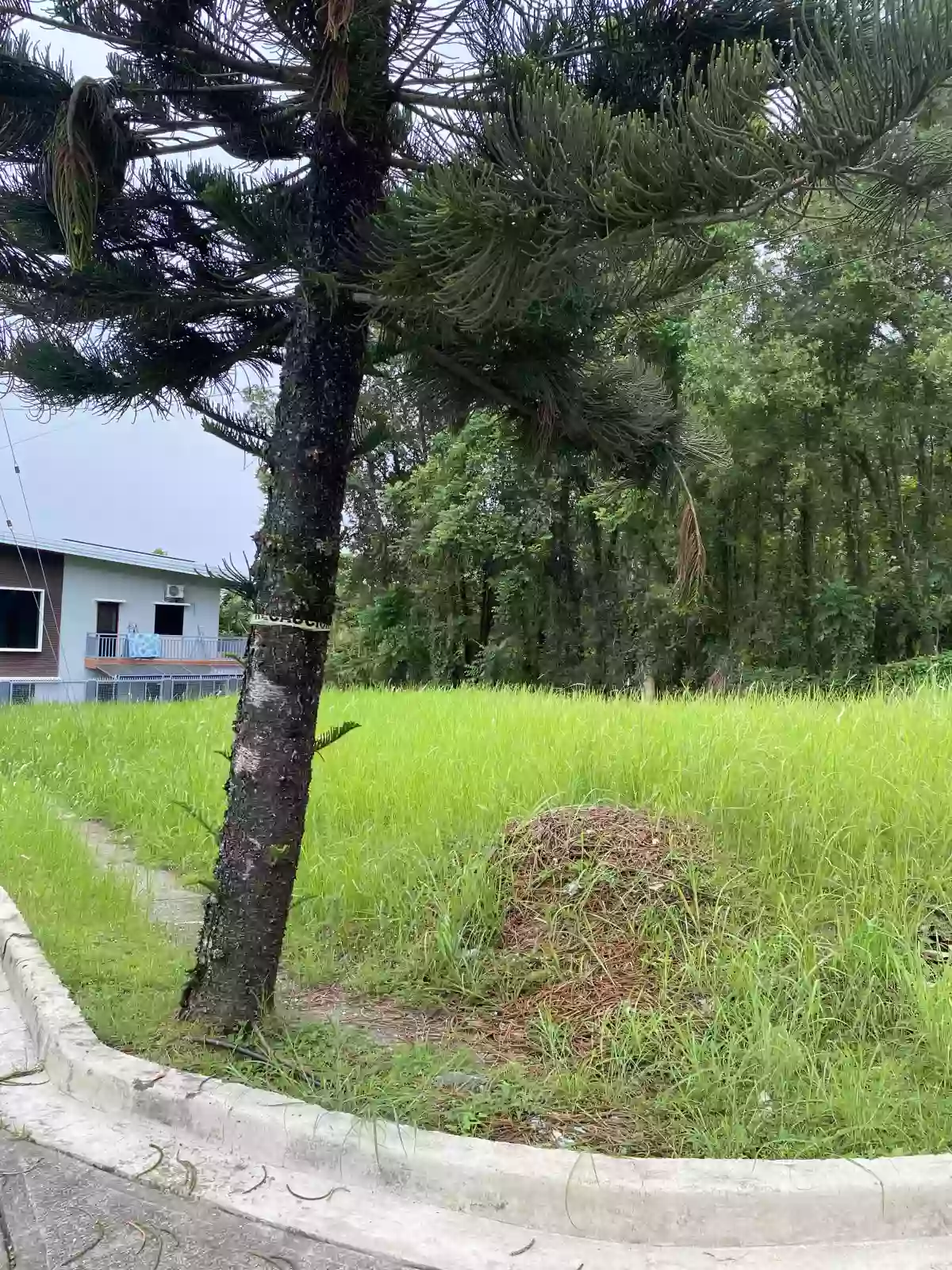 For Sale: Residential Lot 280 sqm at La Mirande Subdivision in Lumbia, Cagayan de Oro City — Residential Lot in Lumbia, Cagayan de Oro City, Misamis Oriental — Photo 3