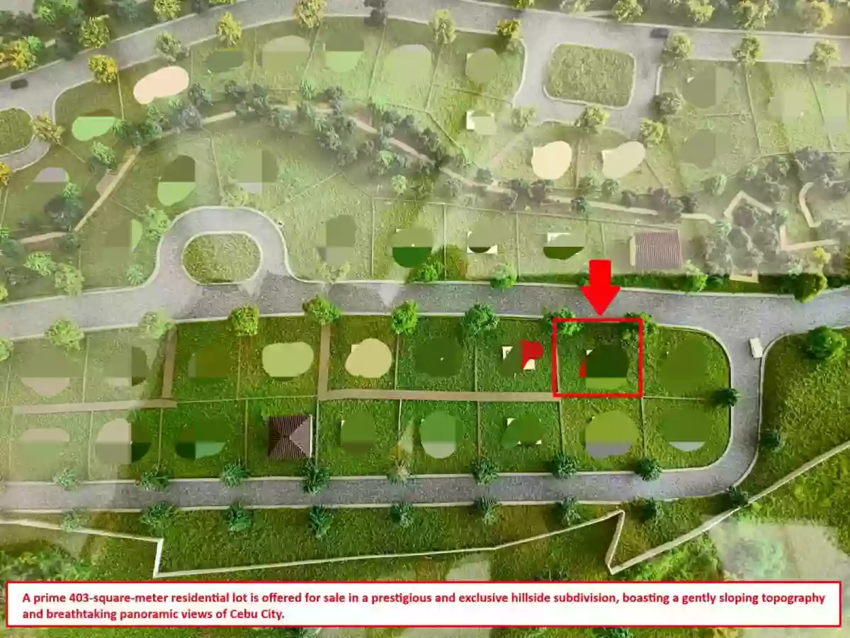 For Sale: Residential Lot in Talamban, Cebu City — 403 sqm — Residential Lot in Talamban, Cebu City, Cebu — Photo 2