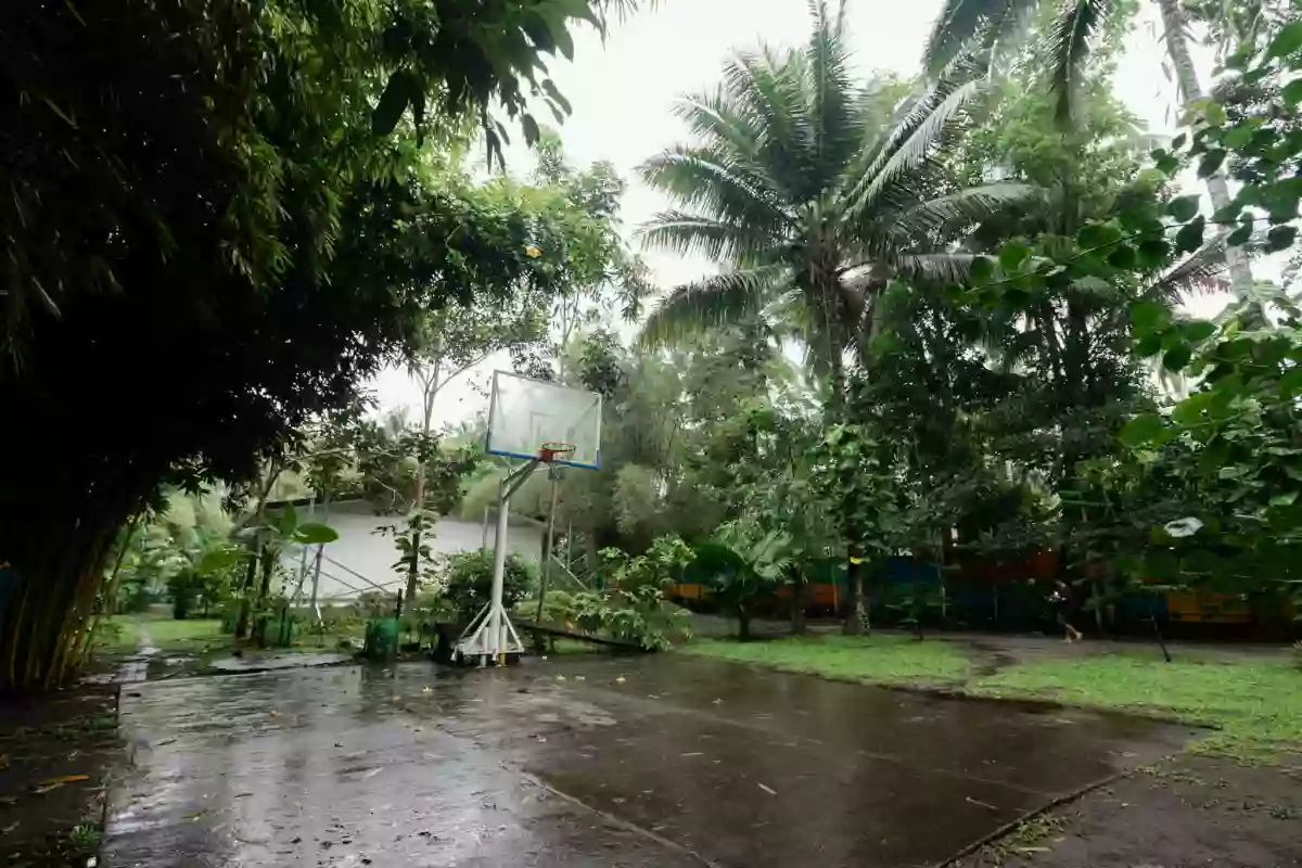 Open photo 17 of 30 — 1000 sqm Agriturism Park for sale