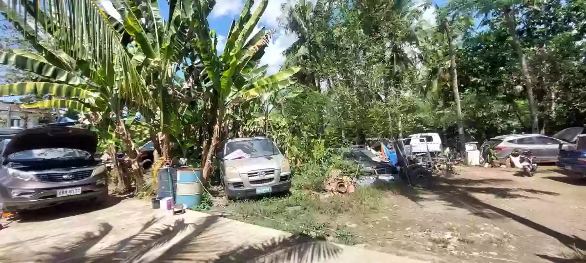For Sale: 800 sqm Residential Lot in Pit-os Talamban, Cebu City — Residential Lot in Cebu City, Cebu, 6000 — Photo 2