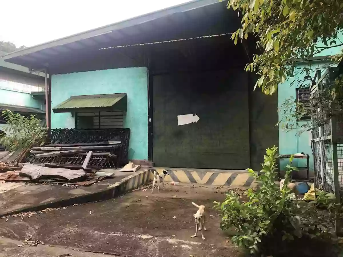 Old warehouse for sale