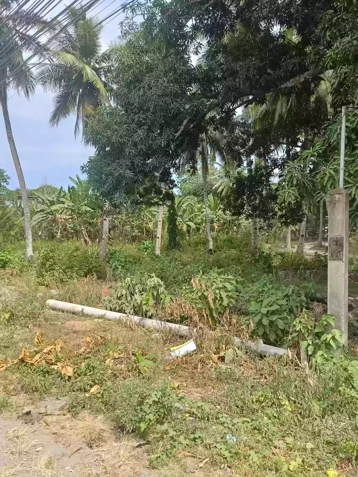 Open photo 21 of 21 — For Sale Commercial Lot in Matiao, Mati City — 7,329 sqm