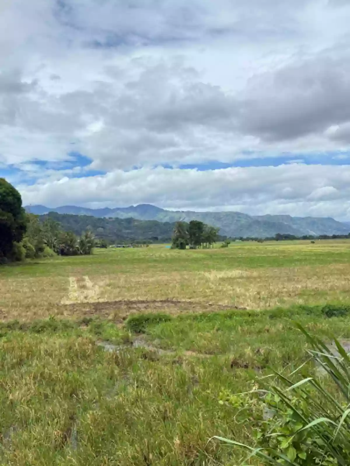 For Sale: Agricultural Lot in Tongantongan, Valencia, Bukidnon — 37000 sqm — Agricultural Lot in Valencia, Bukidnon, 8709 — Photo 2