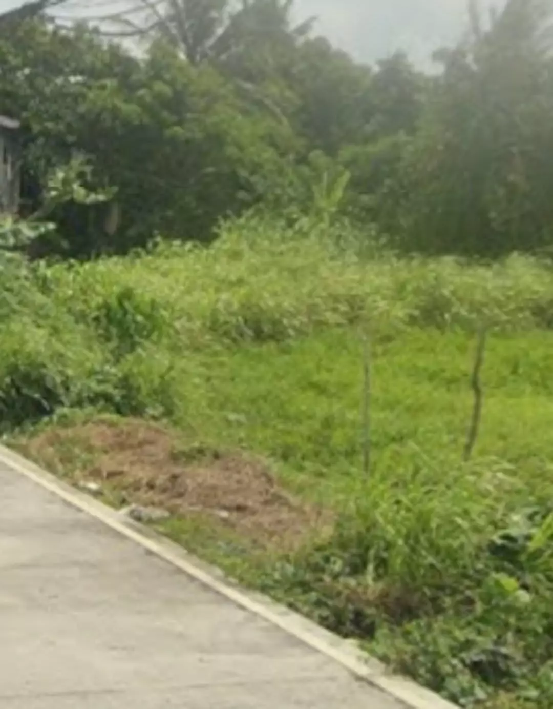 Commercial Lot for Lease