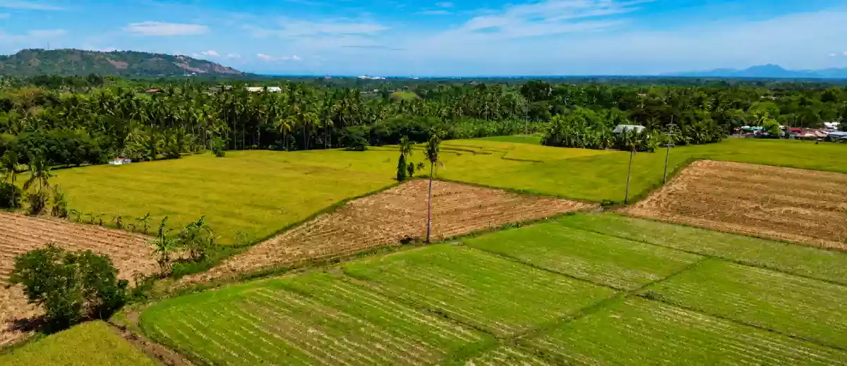 Open photo 13 of 13 — For Sale: Agricultural Lot in Matti, Digos — 40000 sqm along road